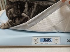 -中农大我爱我爱动物医院·核磁CT·猫病·24小时夜诊中心(石佛营店)