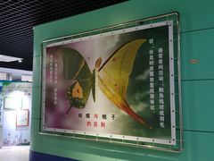 -上海昆虫博物馆