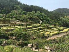 -罗田天堂寨风景区