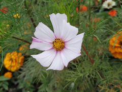 -共青国家森林公园-南大门停车场