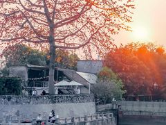 -喜洲吧·江畔老船厂·庭院餐厅(喜临院店)