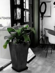 -SEBASTIAN塞巴斯汀