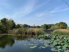 -梁鸿国家湿地公园