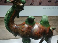 -北京周口店北京人遗址博物馆
