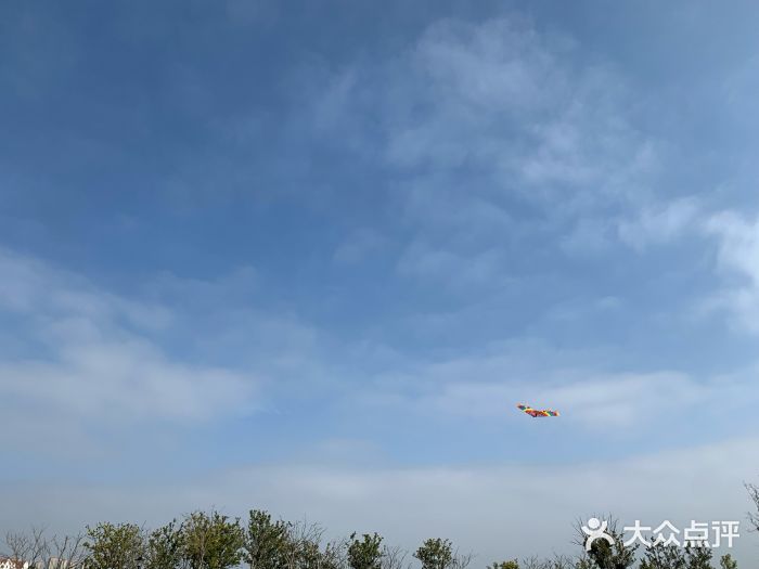 九龙湖公园图片