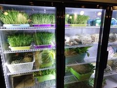 -东椰·海南椰子鸡火锅(朝阳门店)