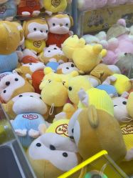 -探奇游乐园(烟台大悦城店)