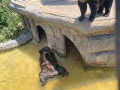 -云南野生动物园