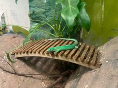 -上海大自然野生昆虫馆