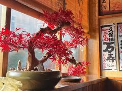 -鸟鹏烧鸟居酒屋(龙岗万科店)