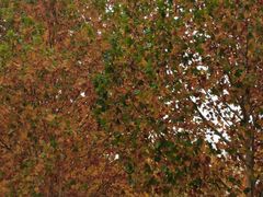 -招商银行(北京东三环支行)