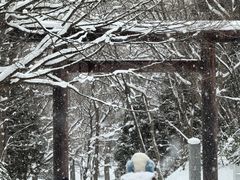 -北海道神宫