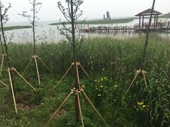 -太湖湖滨国家湿地公园-停车场