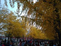 -辽宁大学(崇山校区)