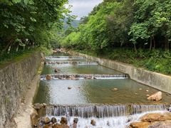 -广州白江湖森林公园