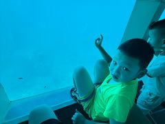 -亚龙湾海底世界