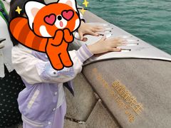 -星光大道