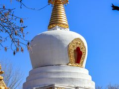 -护国法轮寺