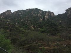 -大岭沟猕猴桃谷风景区