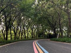 -同里国家湿地公园