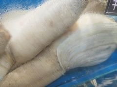 -岳各庄批发市场(西四环中路店)