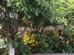 -白塘生态植物园