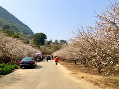 -广州市流溪河国家森林公园