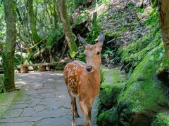 -昆明青龙峡风景区