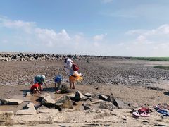 -南汇嘴观海公园