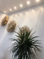 -YESIDO椰岛美容