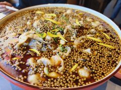 自贡大麻鱼-四川饭店(长白店)