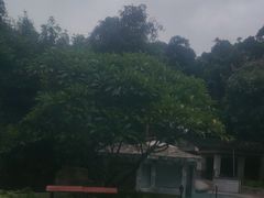 -碧水湾温泉