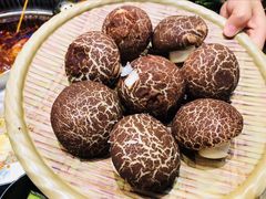 -小王少龙火锅(沙南街店)