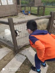 -太湖雪蚕桑文化园