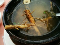 -莲花公园煎蟹(总店)