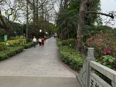 -东山湖公园