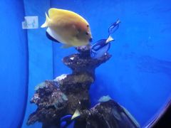 -多彩贵州城极地海洋世界