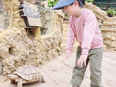 -长鹿旅游休博园