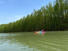 -上海海湾国家森林公园