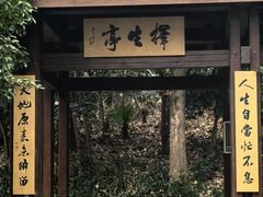 -灵谷景区
