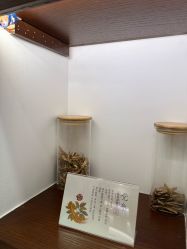 -梵茜儿·头道汤养生馆