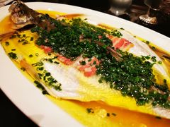 葱油蒸白水鱼-玫瑰厅上海菜(兴国路店)