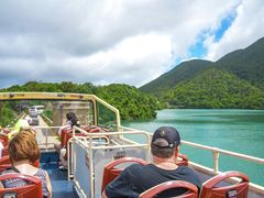 -Big Bus Tours 敞篷观光巴士