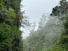 -峨眉山风景名胜区