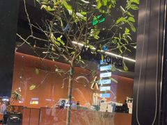 -M Stand(深圳龙岗万科广场店)