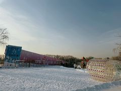 -大兴滨河森林公园
