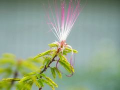 -白鹭湾湿地公园