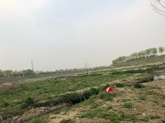 -洨河生态公园