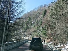 -秦岭风景区