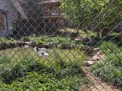 -石家庄市动物园